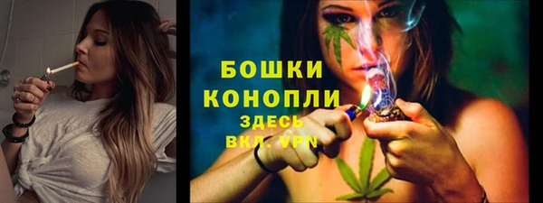 не бодяженный Осинники