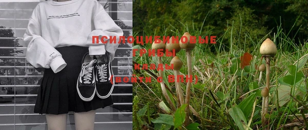 не бодяженный Осинники