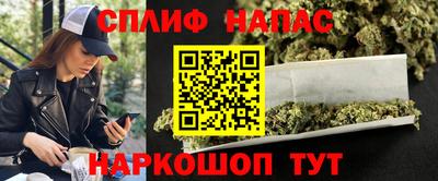 СК Донецк