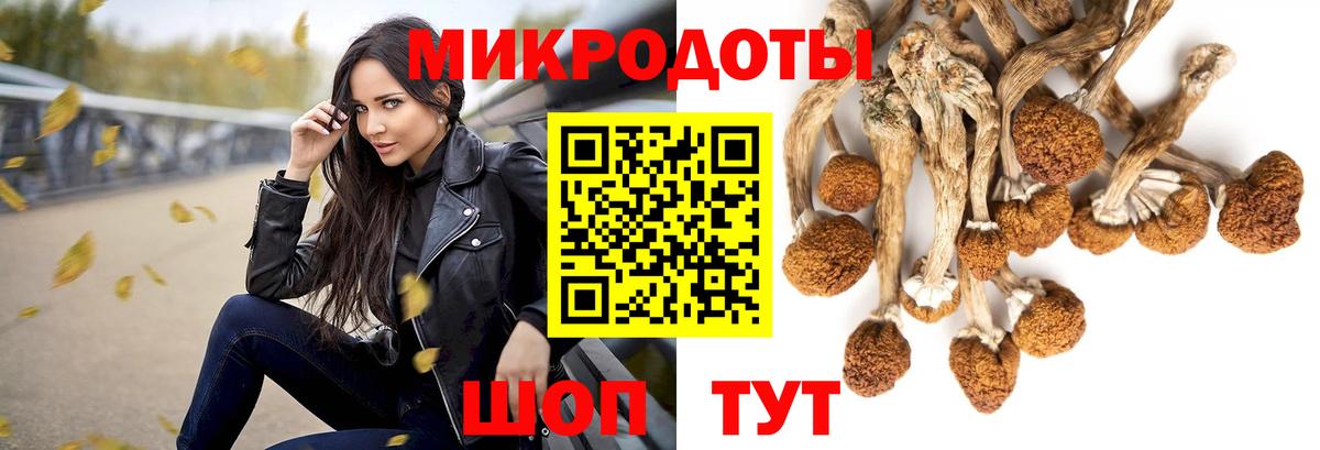 Псилоцибиновые грибы ЛСД Изобильный