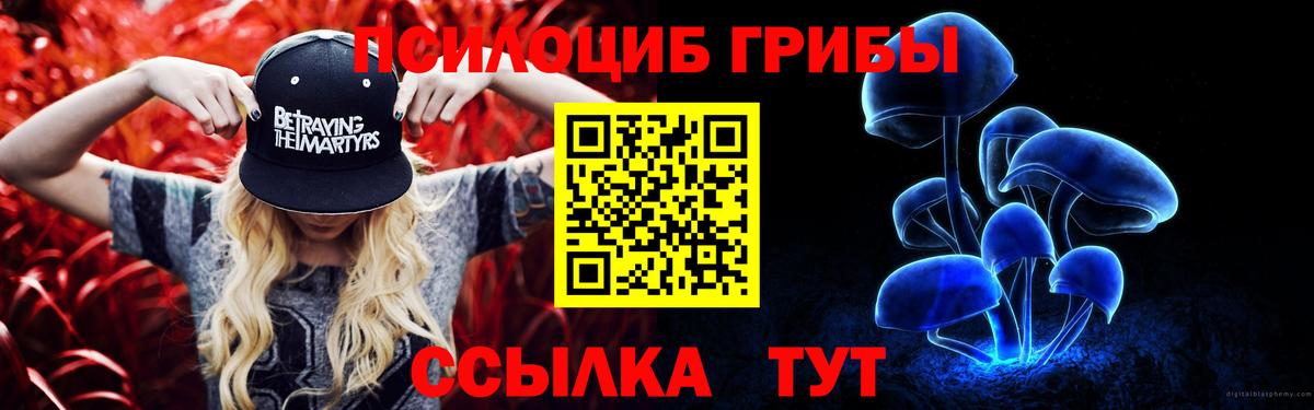 Галлюциногенные грибы прущие грибы  Изобильный  Галлюциногенные грибы GOLDEN TEACHER 