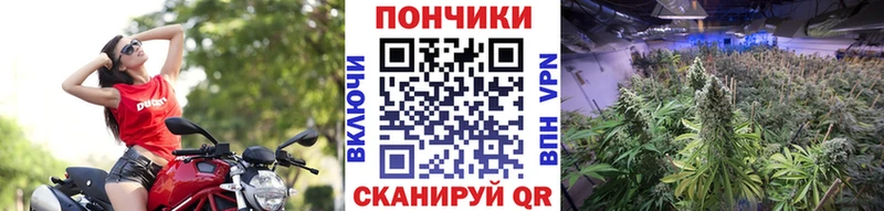 Шишки марихуана ГИДРОПОН  где можно купить   shop официальный сайт  Изобильный 